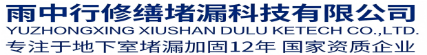 北辰雨中行修缮堵漏科技有限公司